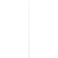 Ekena Millwork 3 4 W 56 H Gerçek Fit PVC, İki Tahta Çerçeveli Tahta-Çıta Panjurlar, Beyaz
