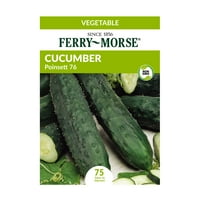 Ferry-Morse 72.5MG Salatalık Wisconsin SMR Sebze Bitki Tohumları Paketi