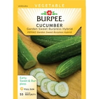 Burpee-Salatalık, Bahçe Tatlısı Burpless Hibrit Tohum Paketi