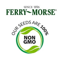 Feribot-Morse Kavun Tatlı Yaz Mı Sebze Bitkileri Tohumları