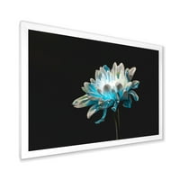 Designart 'Beyaz ve Saf Mavi Papatya Çiçeğinin Yakın Çekimi I' Geleneksel Çerçeveli Sanat Baskısı