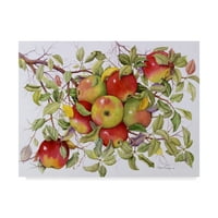 Marka Güzel Sanatlar 'Daldaki Elmalar' Marcia Matcham'dan Tuval Sanatı