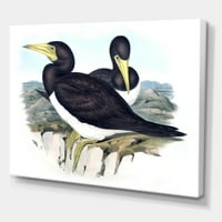 Designart 'Antik Avustralya Kuşlar XII' Geleneksel Tuval Duvar Sanatı Baskı